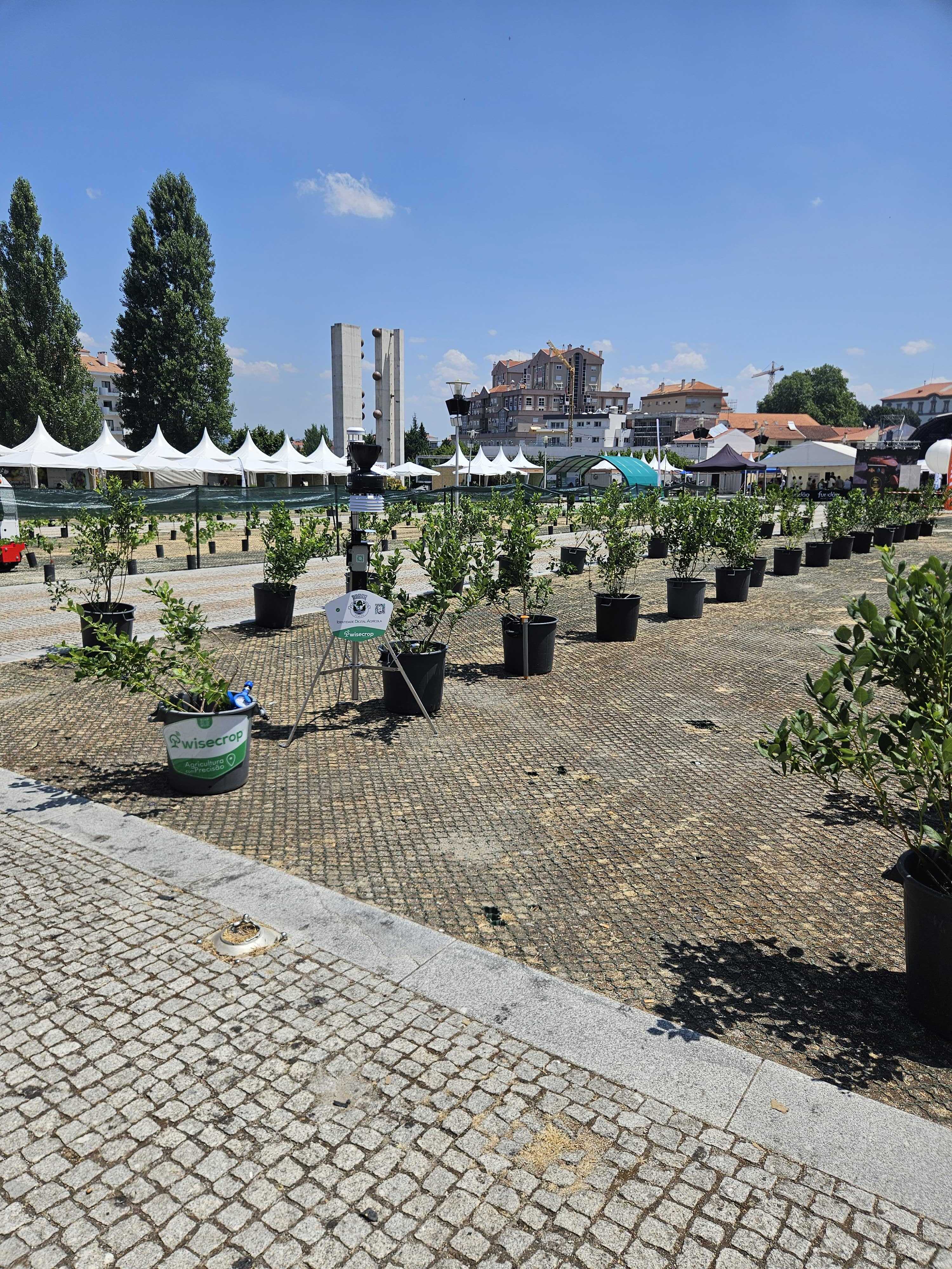 Estação Meteorológica Wisecrop