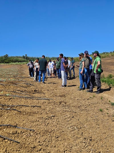 13.ª Semana Hortícola do Oeste: um evento com substância