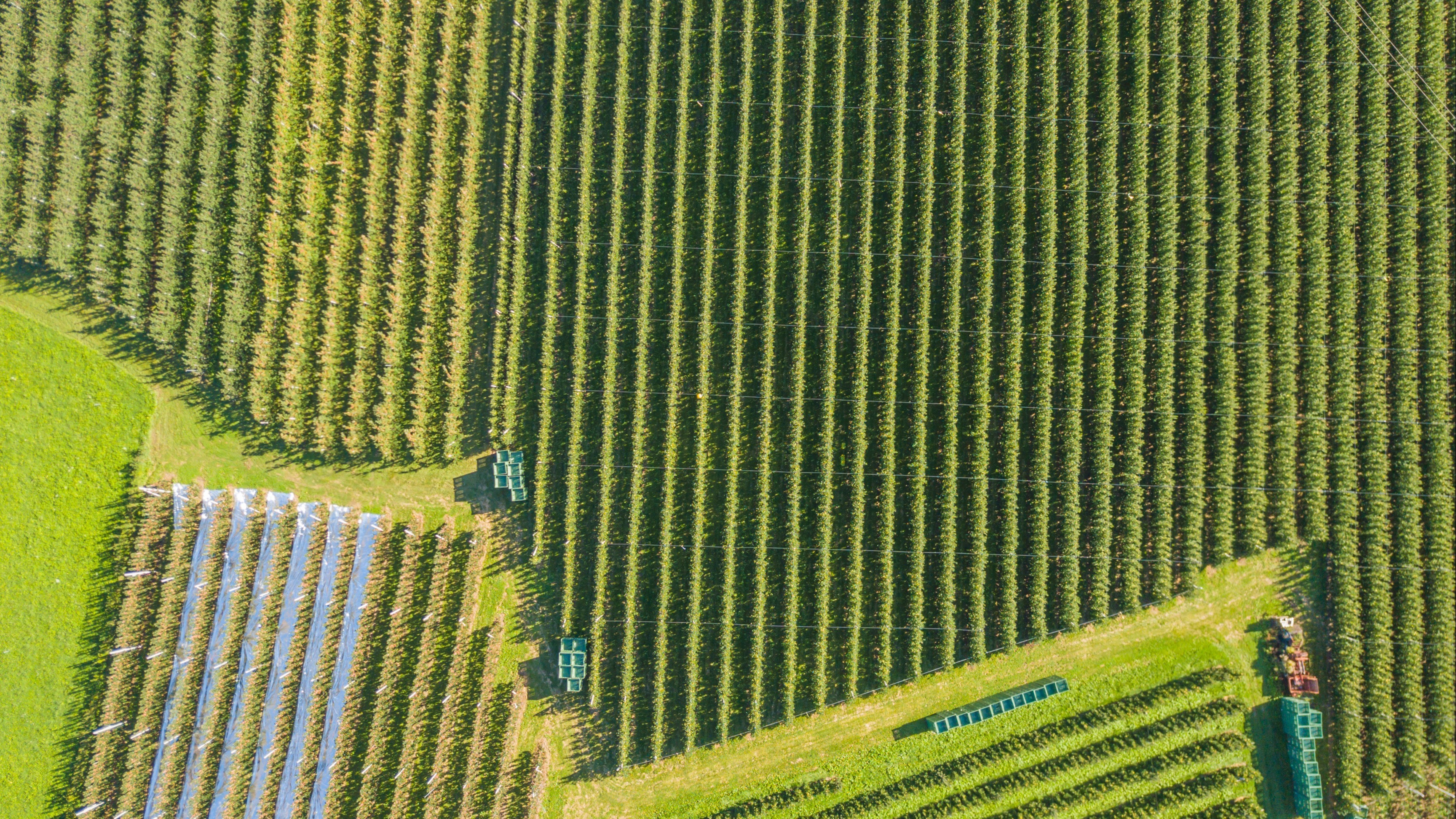 AdobeStock_299950753-1