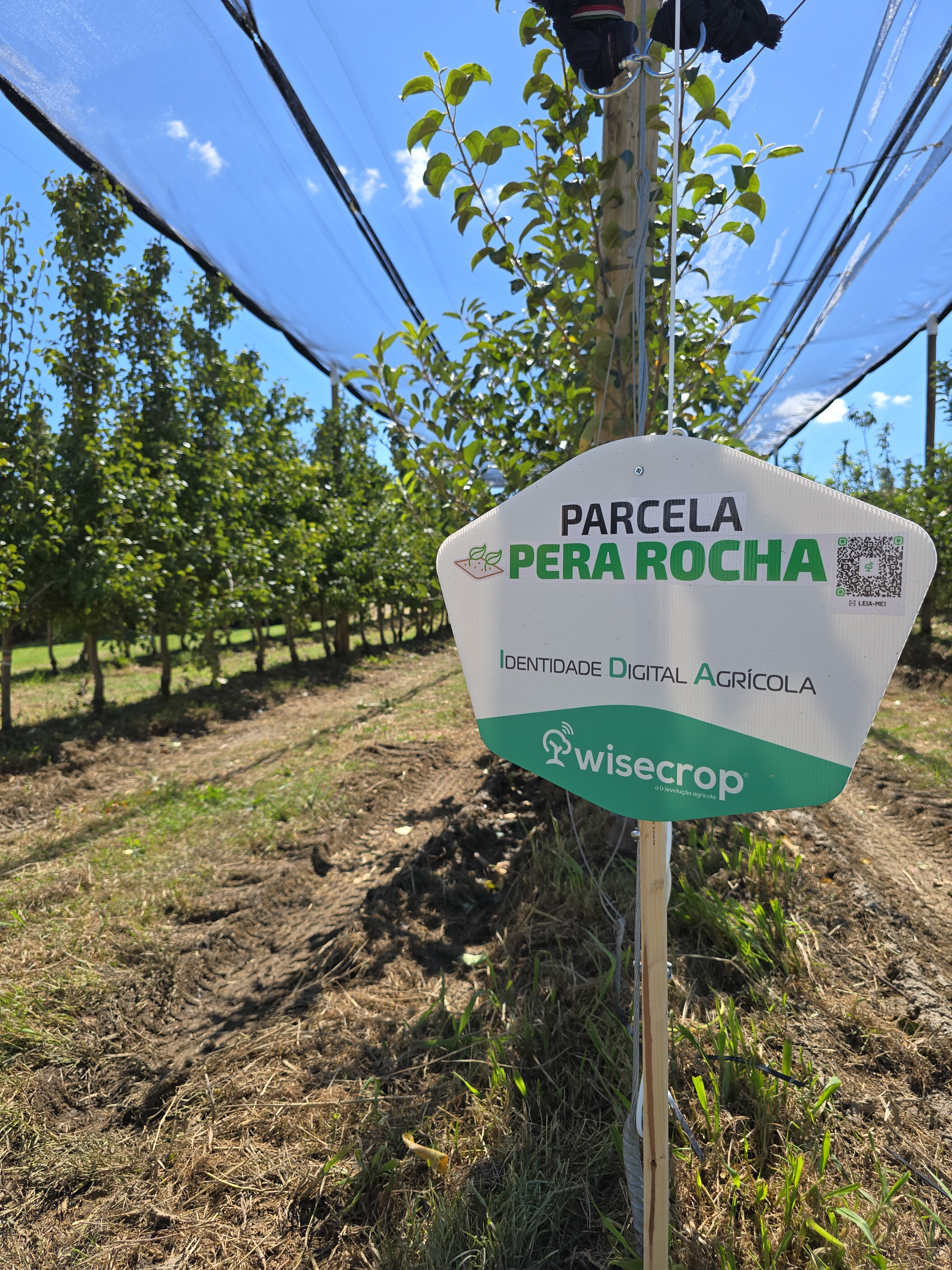 PIC_20250909_204134359