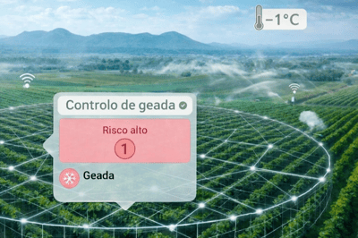 Geadas fora de época: como antecipar e proteger a vinha antes do dano
