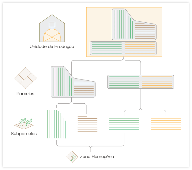 UP_Layout