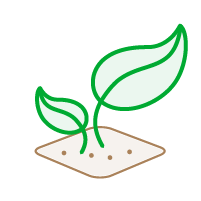 Definições - Plantação (Colored) copy