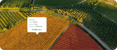 Custos de produção agrícola: como calcular o custo real