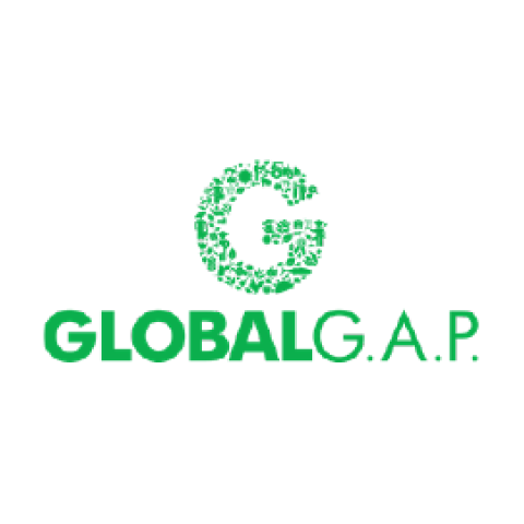 Glogal GAP