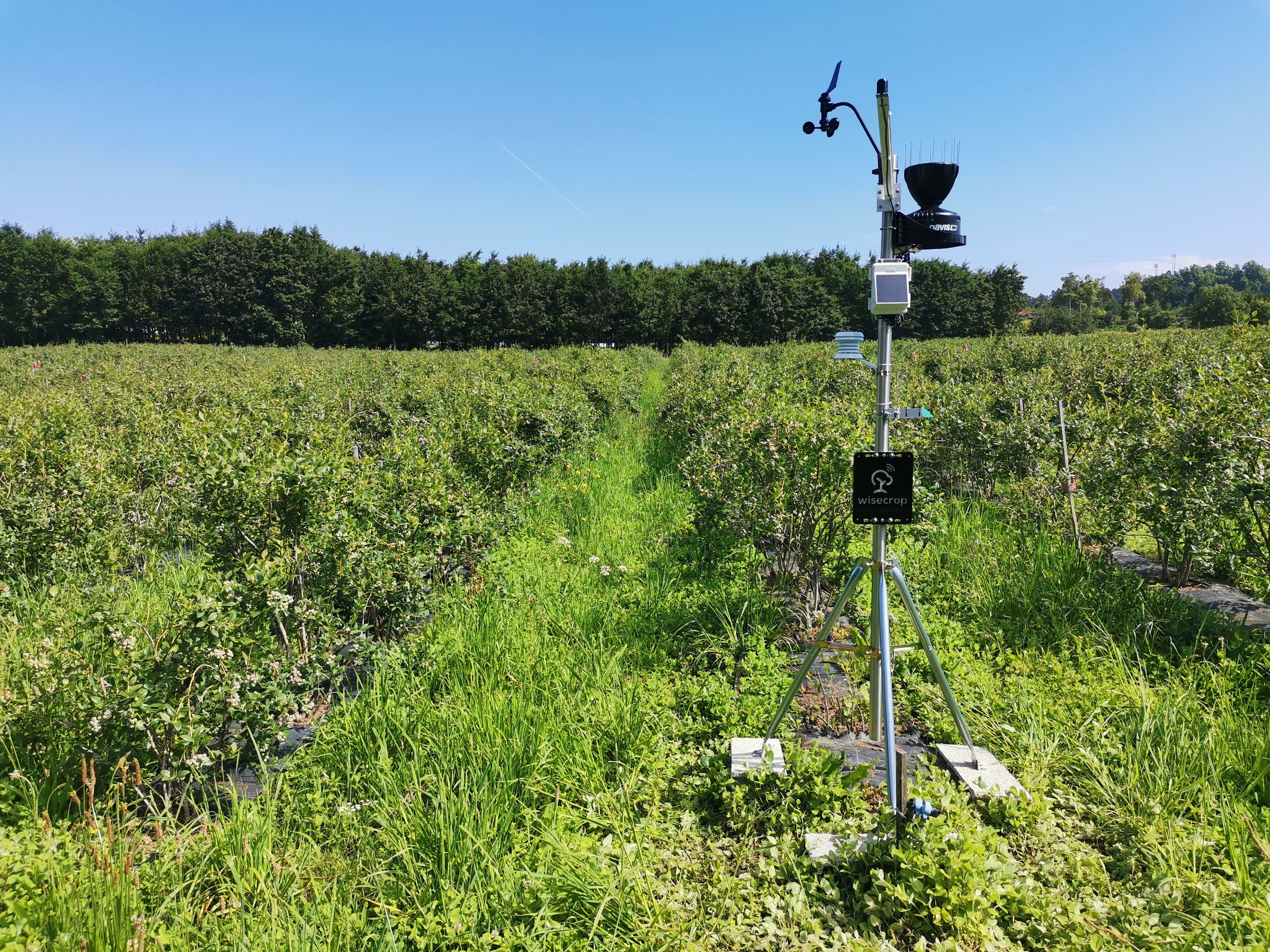 estação meteorológica AWS500
