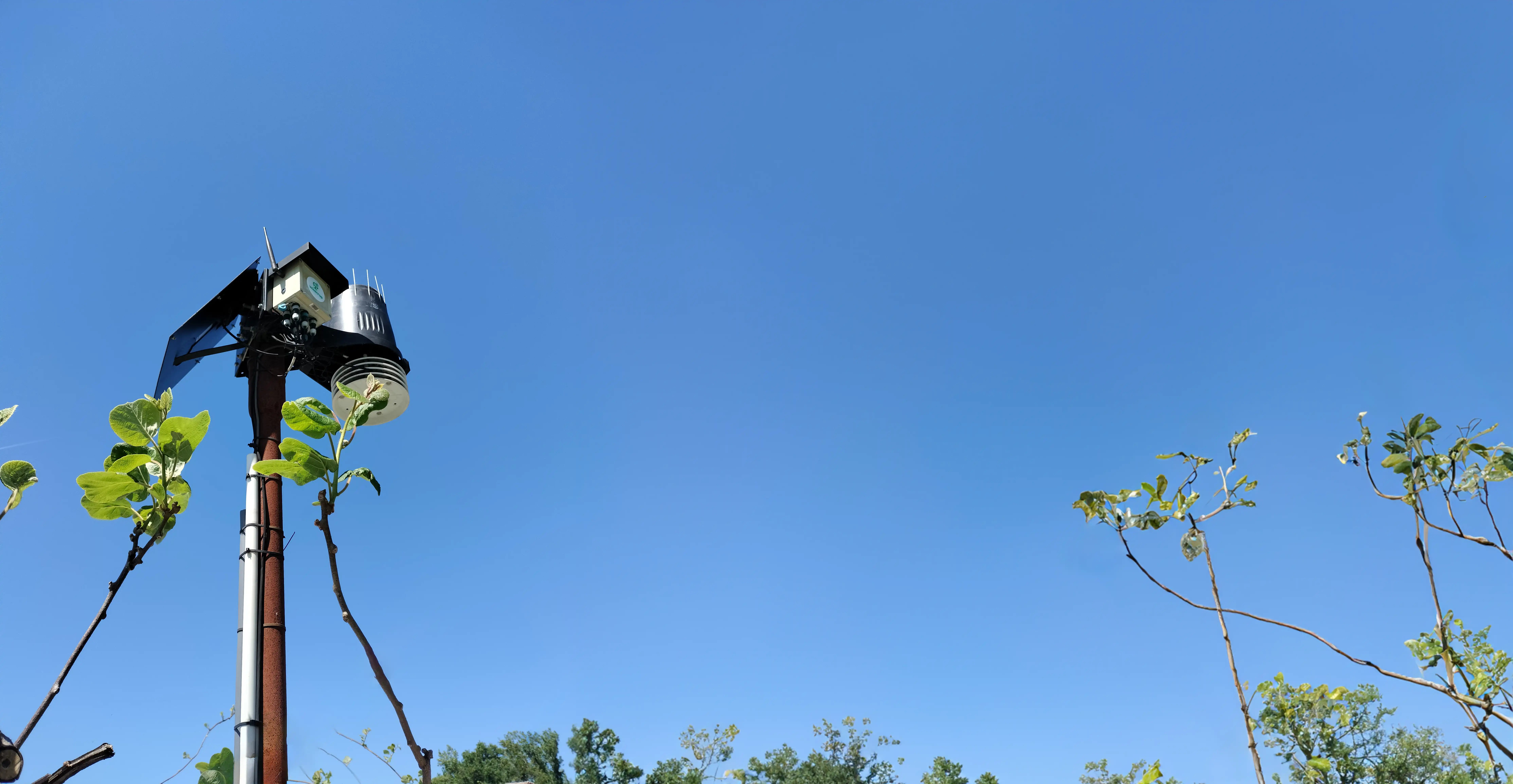 IMG20240422120653 copiar