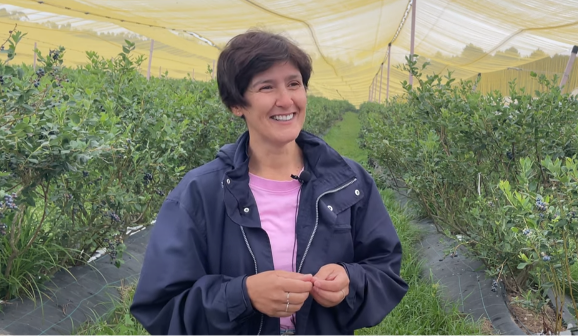 Captura de ecrã 2025-06-30 143557-1