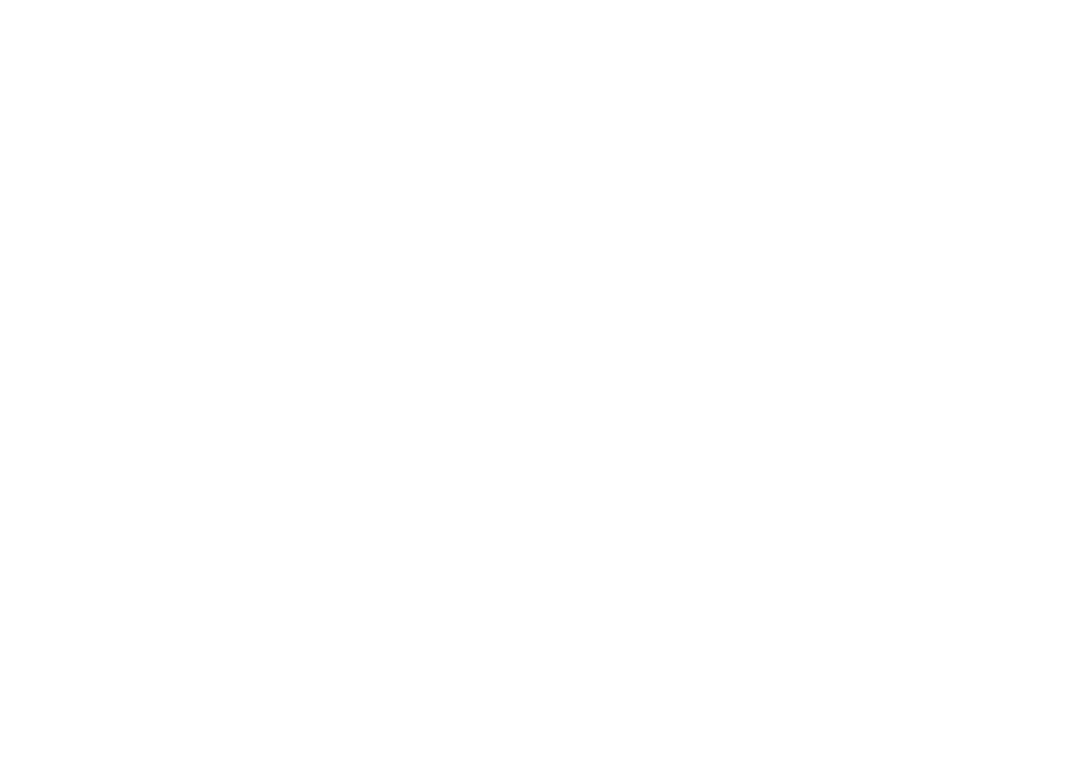 Inês Brás de Sousa@