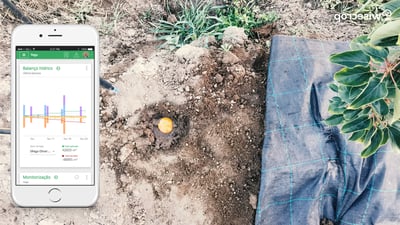 Cómo reducir los costes de agua en la agricultura sin perder productividad