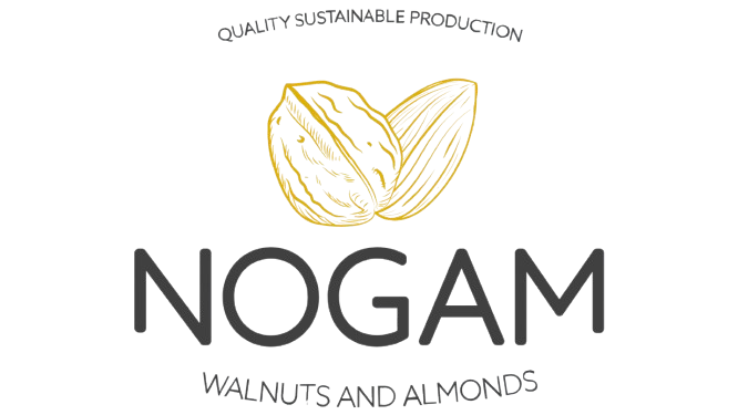 Nogam