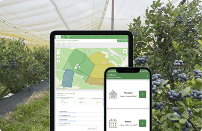 Fruitrack: 7 passos para preparar uma colheita sem surpresas