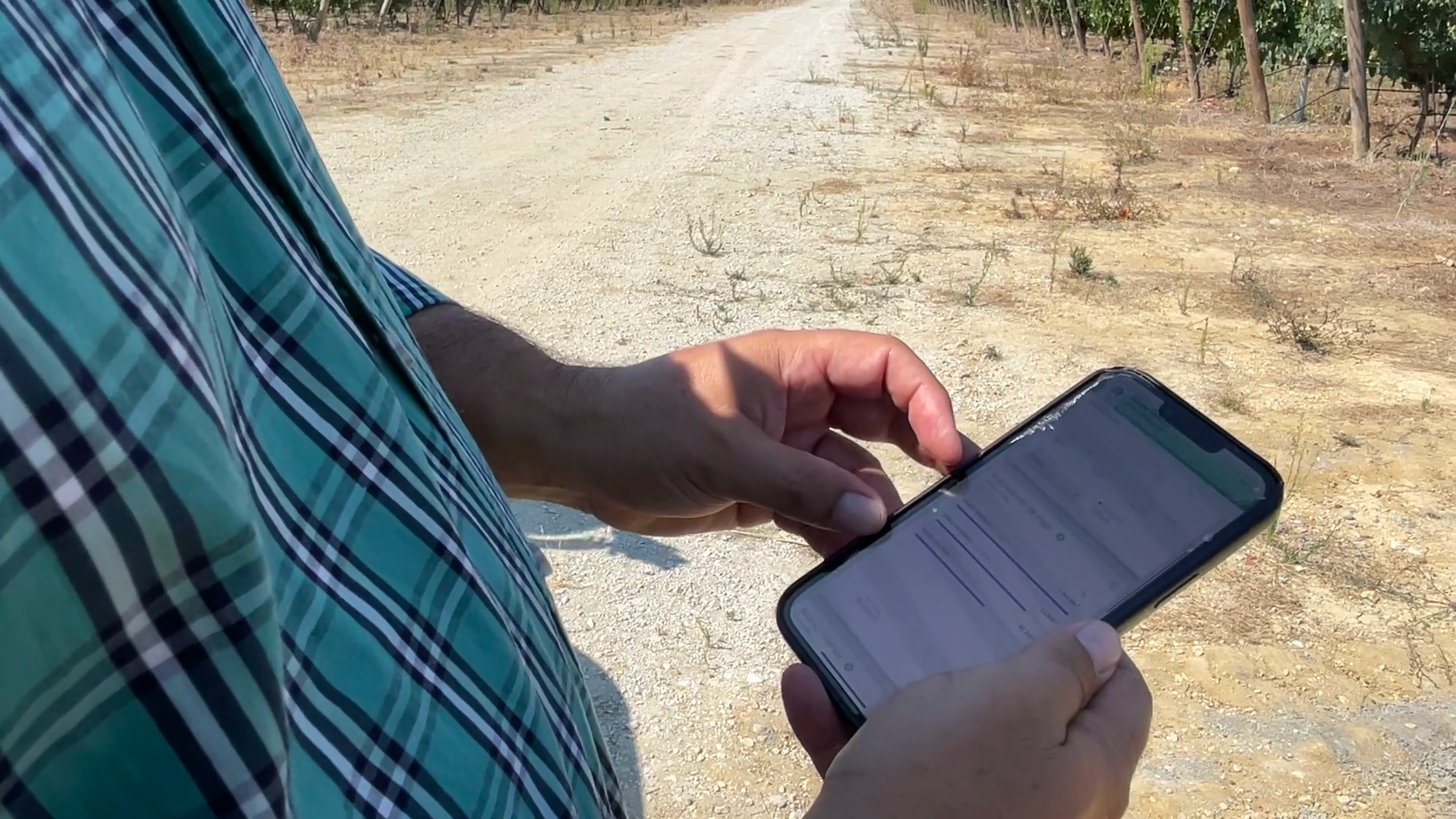Farmer using Wisecrop on his vineyard