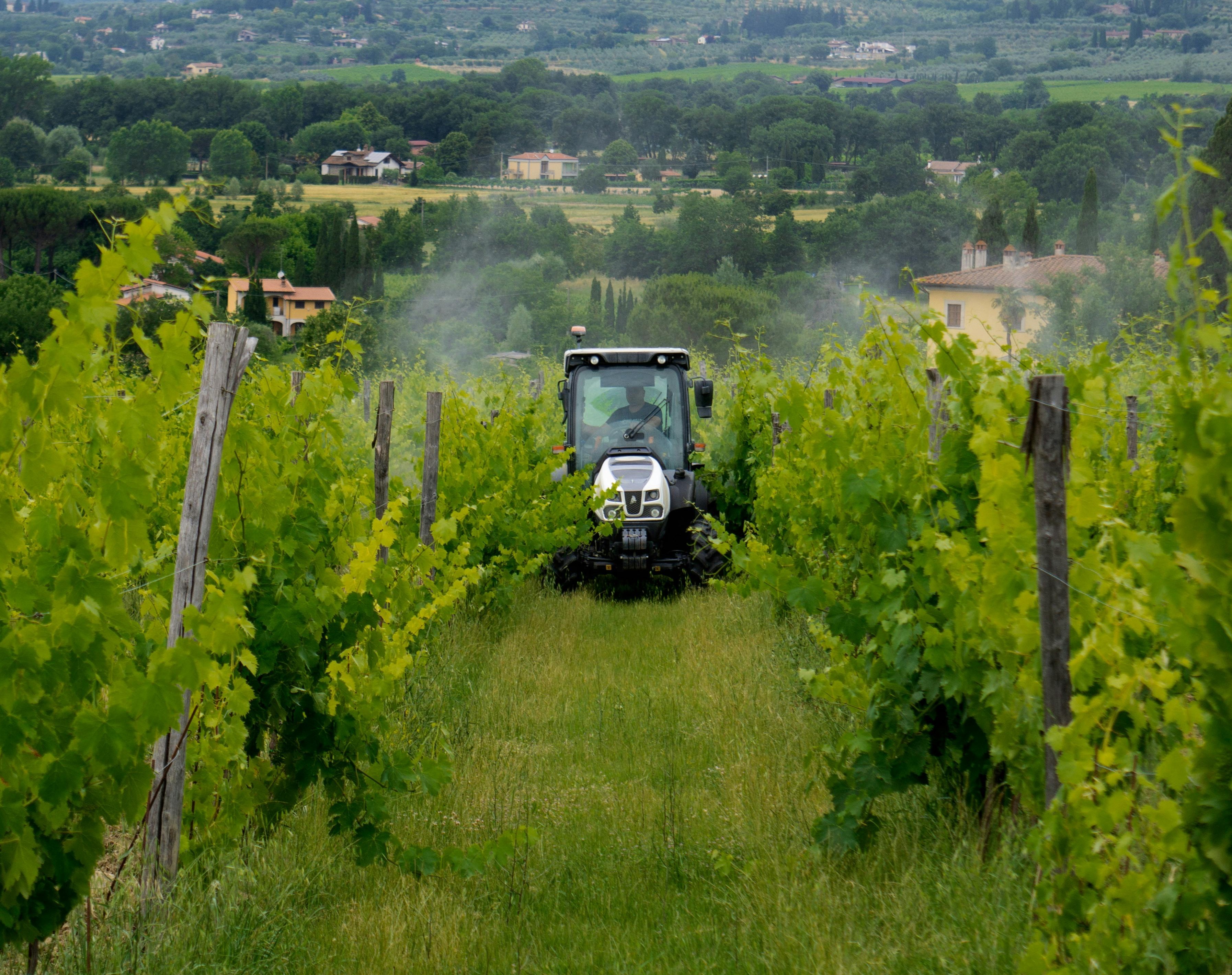 pexels-richard-frazier-1334534705-27260999