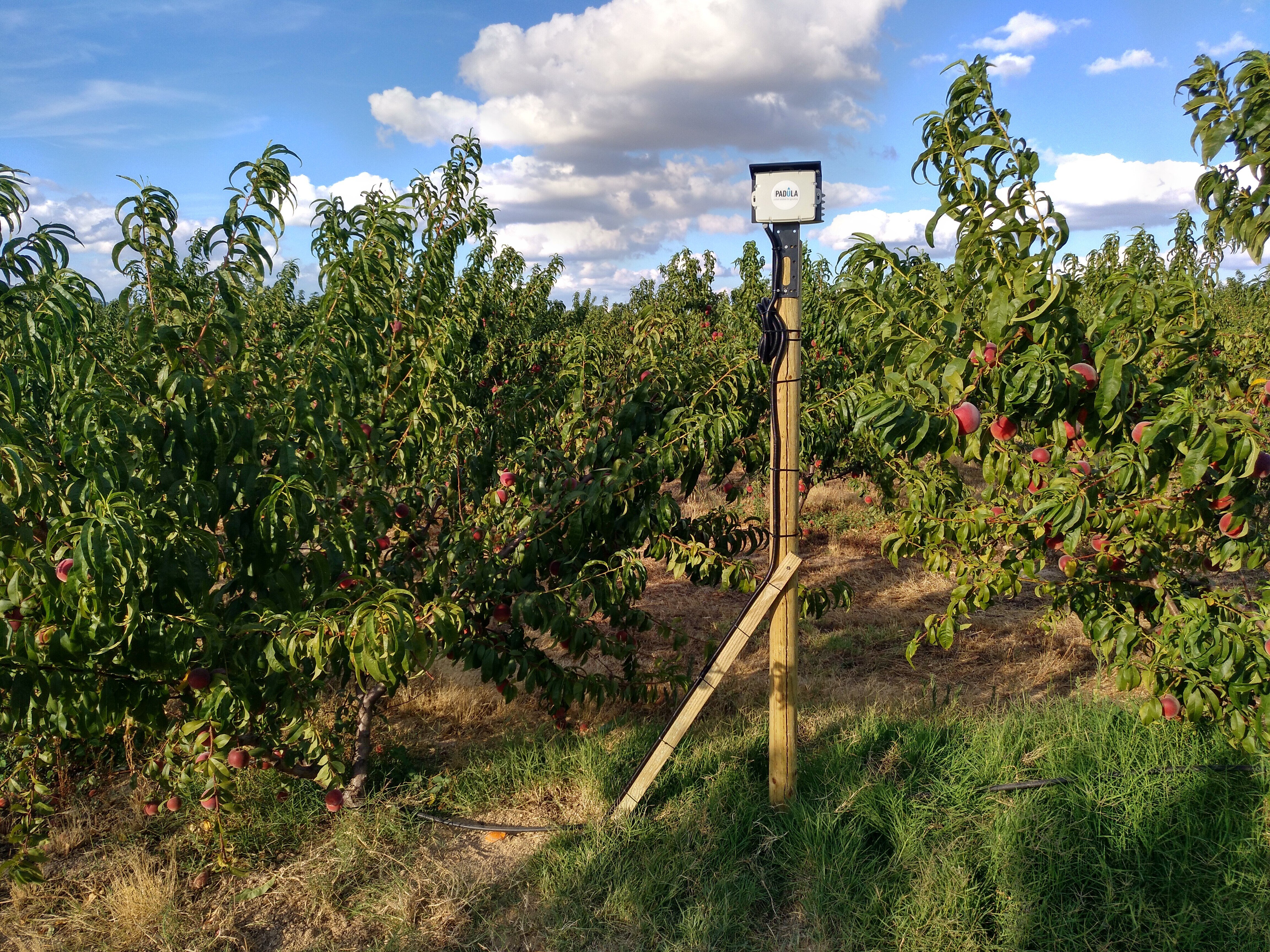 IMG_20190808_190107_864