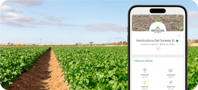 Horticultura del Sureste: organizar para crescer, digitalizar para decidir