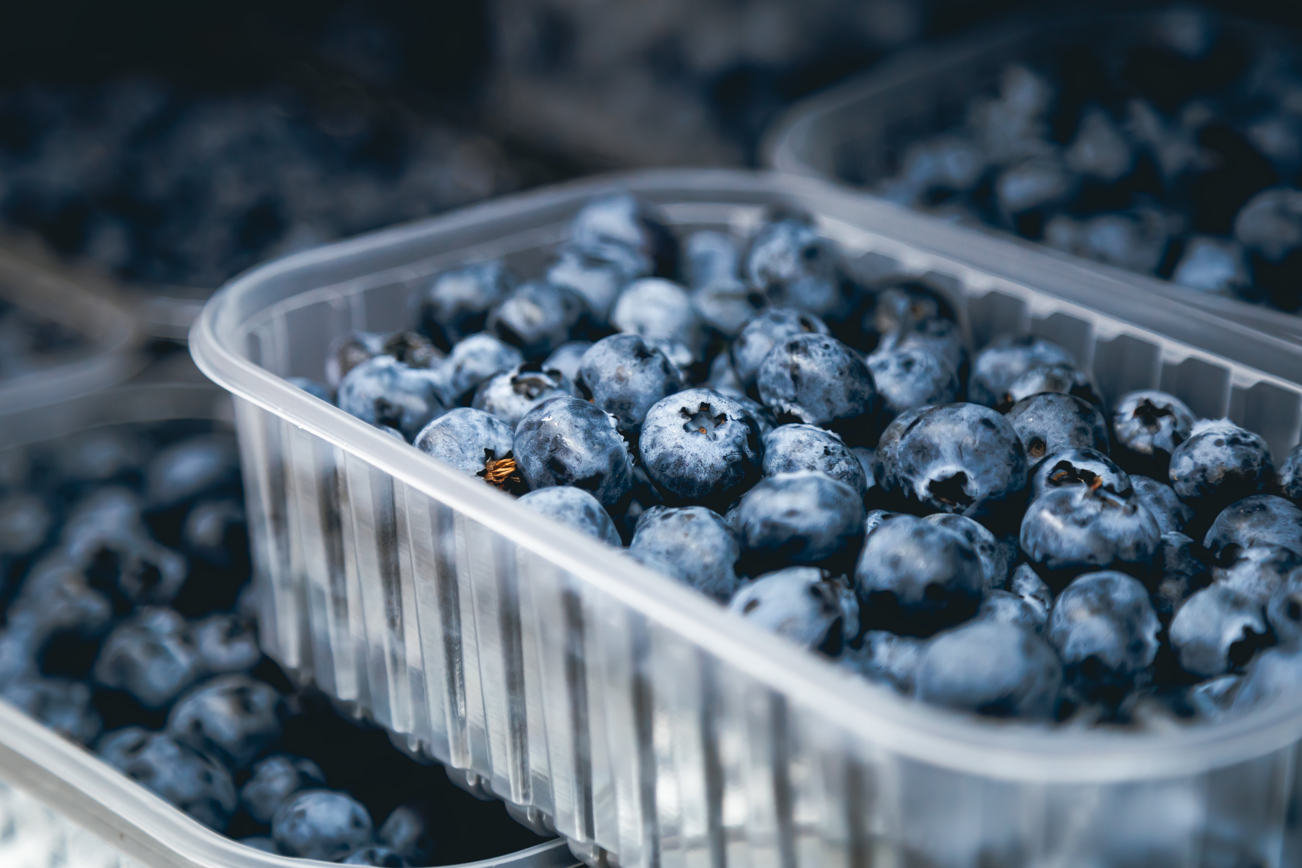 box-crate-with-many-containers-with-freshly-collected-blueberries