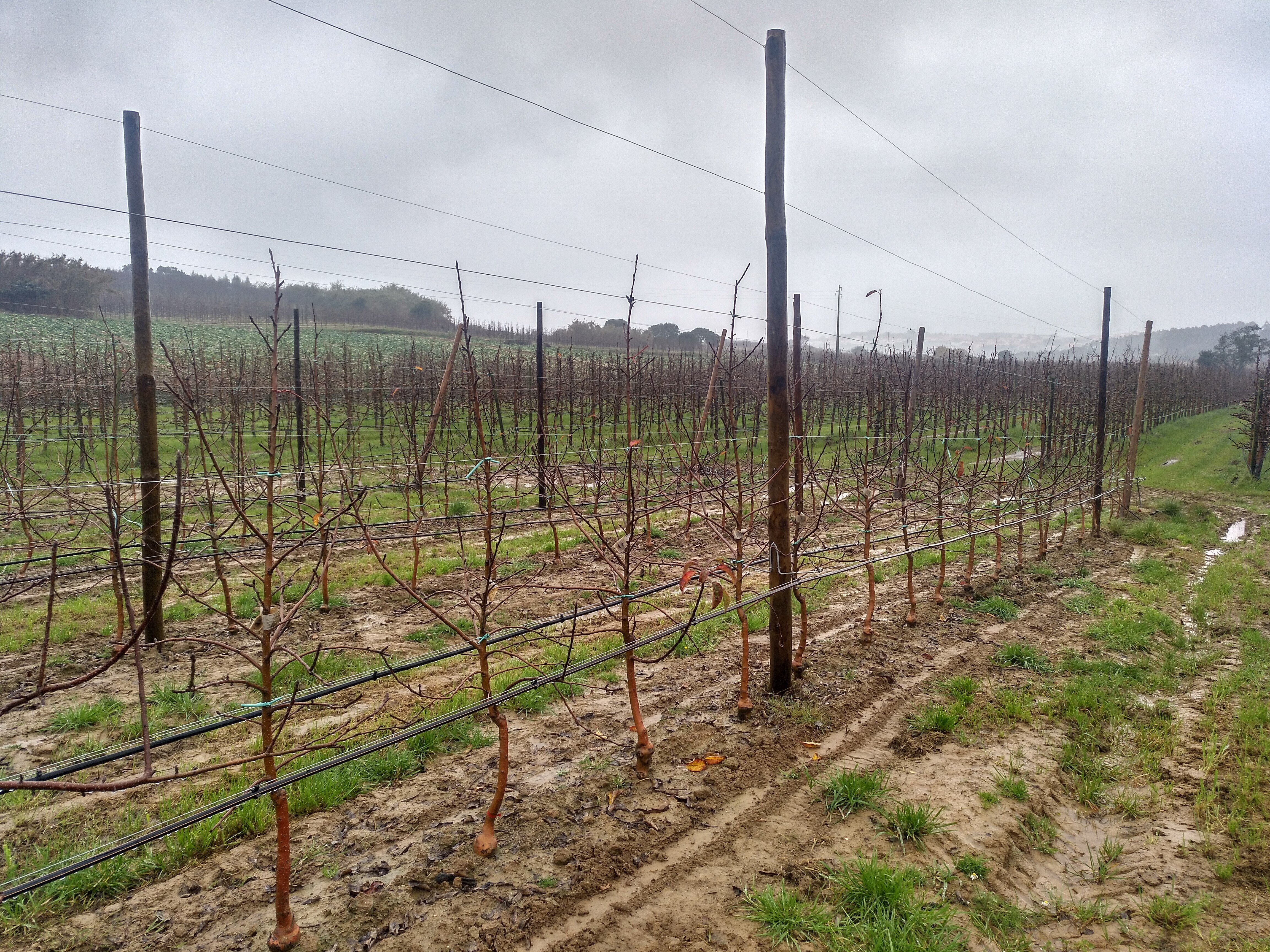 IMG_20200130_154703_384