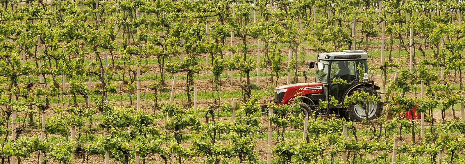 app-atividades-banner