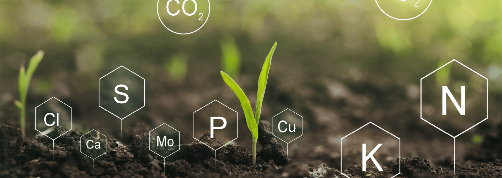 App-fertilizacao-banner