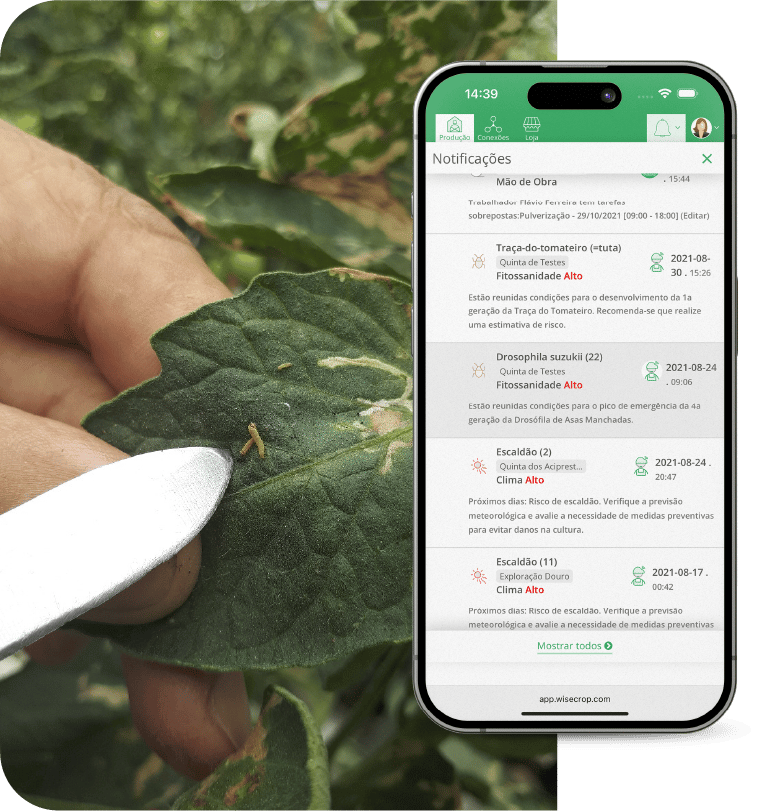 app-fitossanidade-alertas