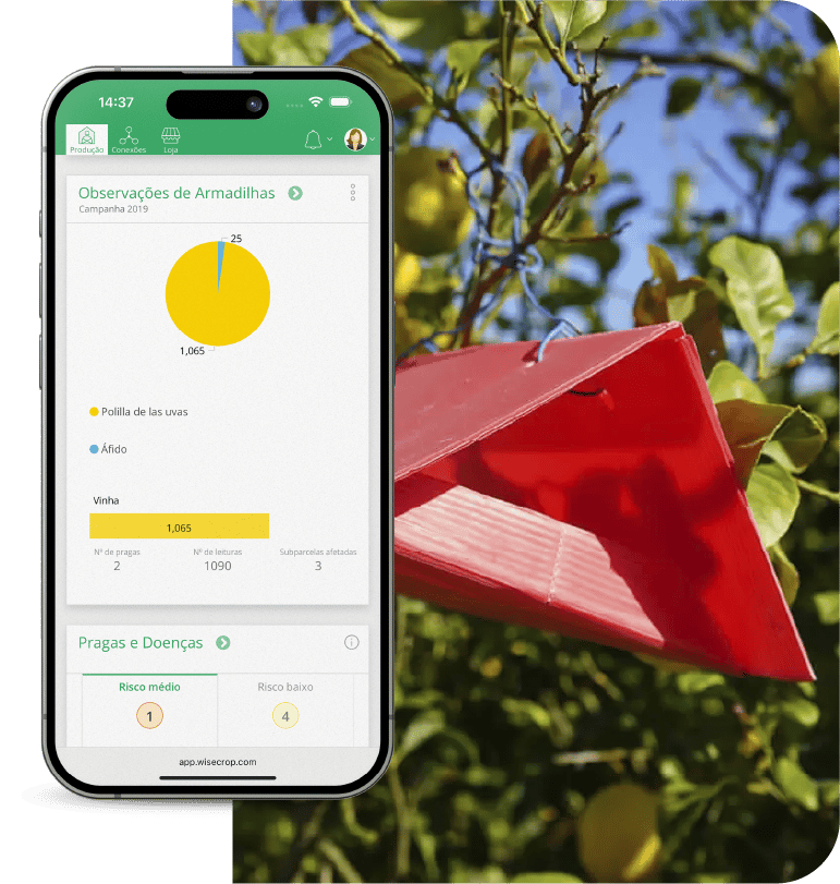 app-fitossanidade-armadilhas