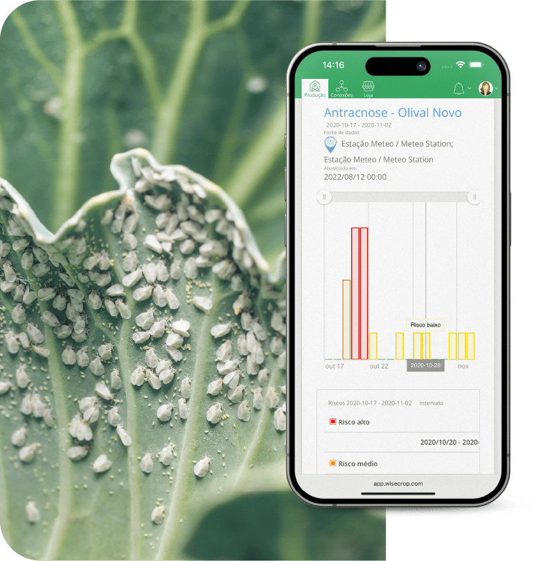 app-fitossanidade-modelos