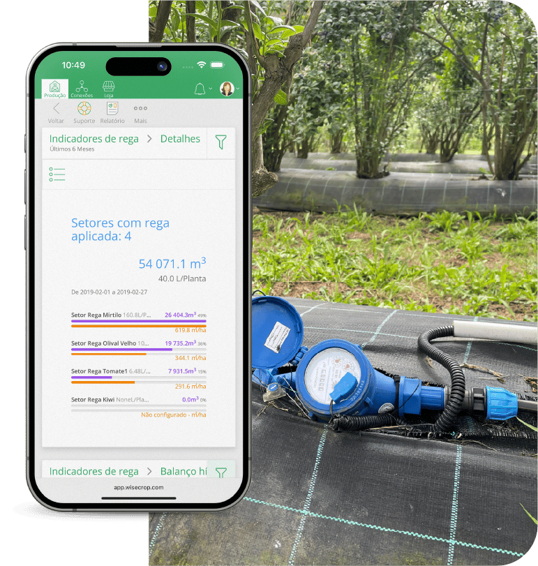 app-rega-indicadores