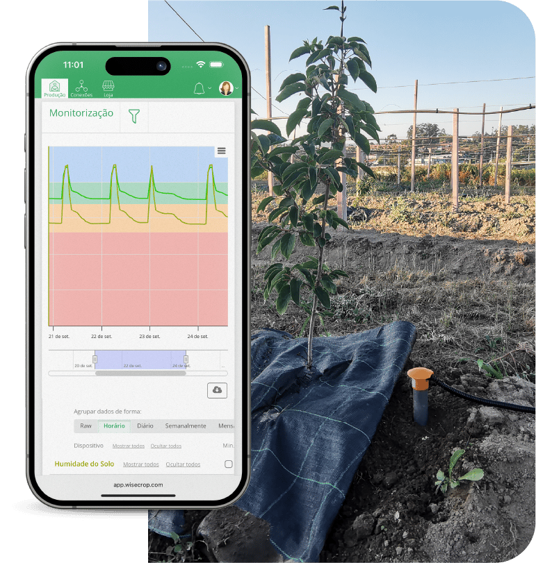 app-rega-monitorizacao