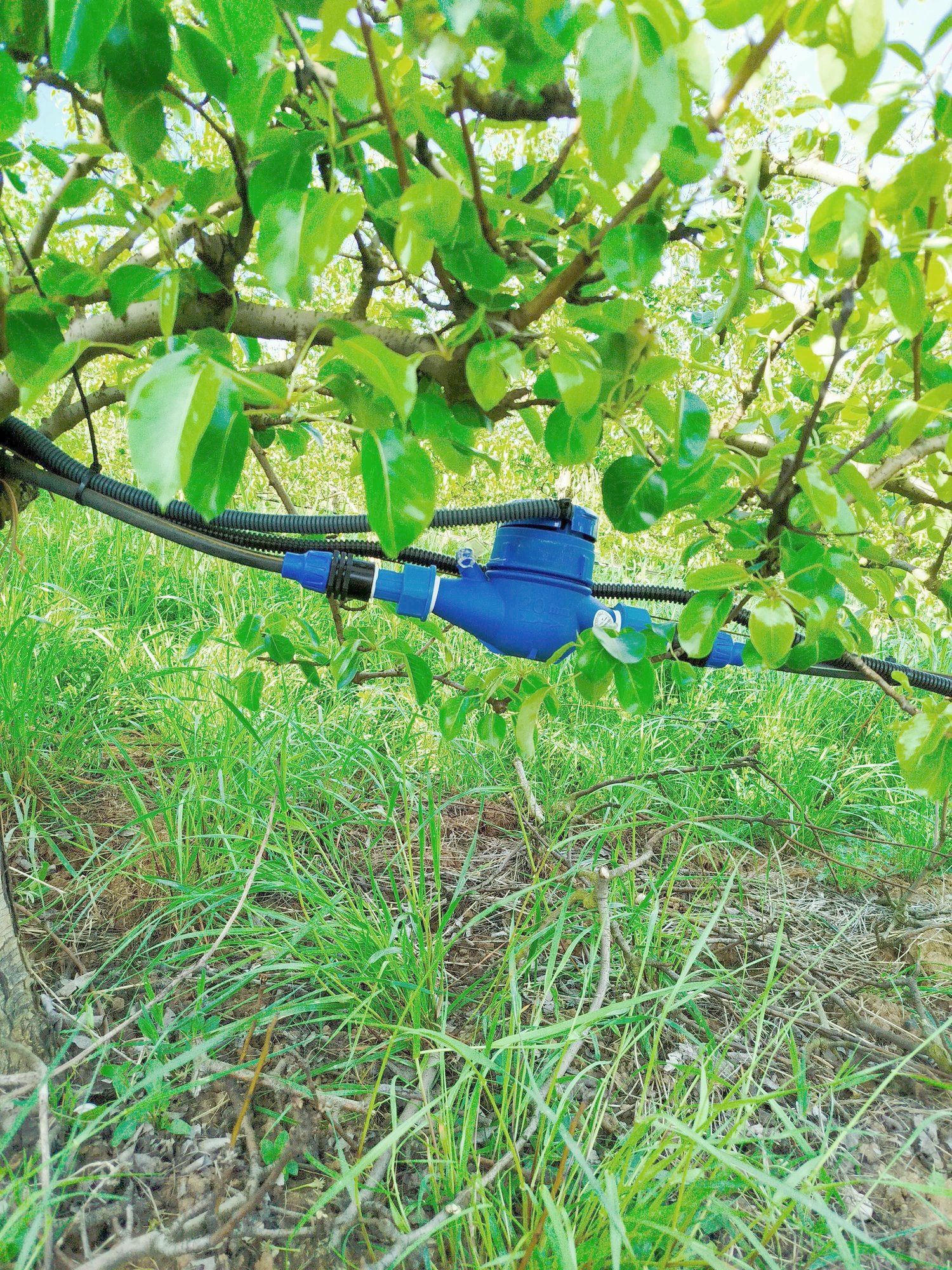 WiseFlow - Sensor de caudal de rega Wisecrop