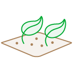 Hectares digitalizados