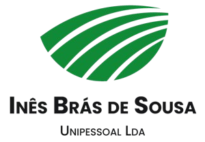 Ines Bras de Sousa1