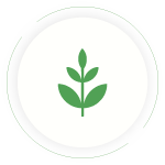 Tempo por planta