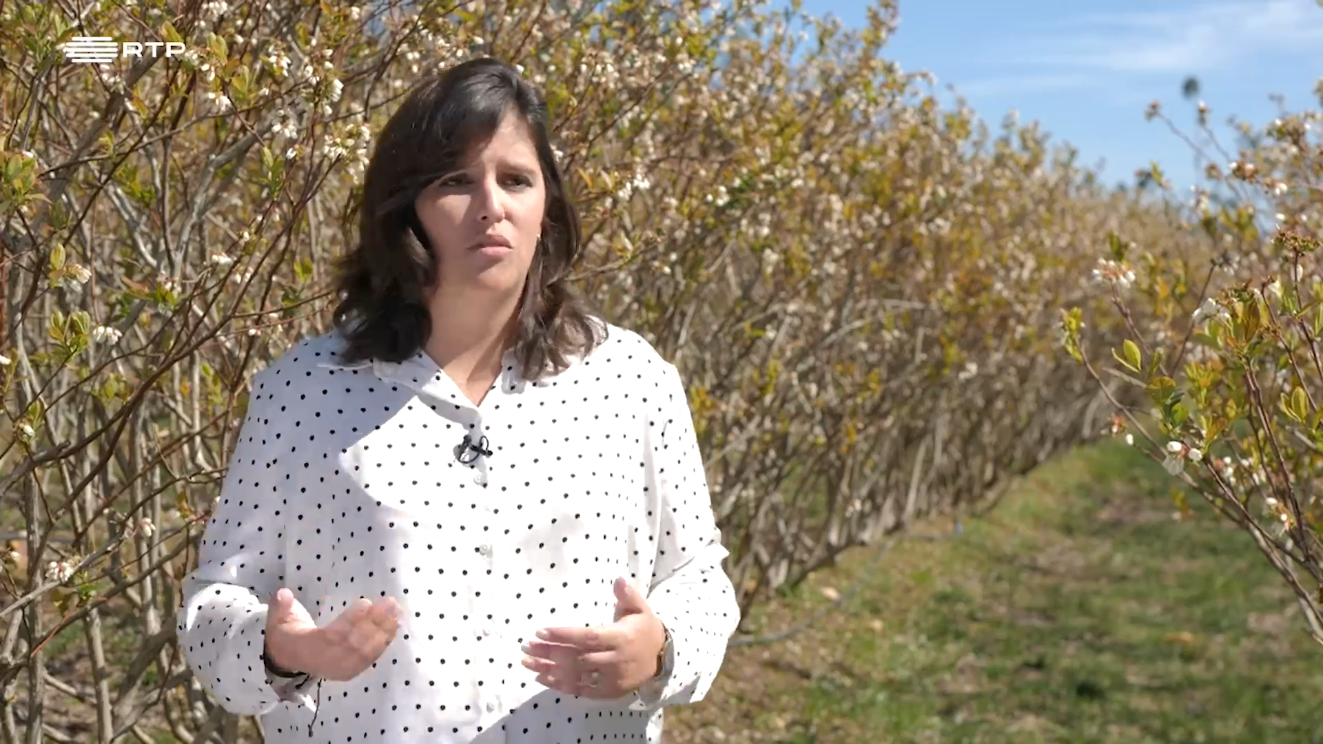 Maria João Raro - Maio vERDE