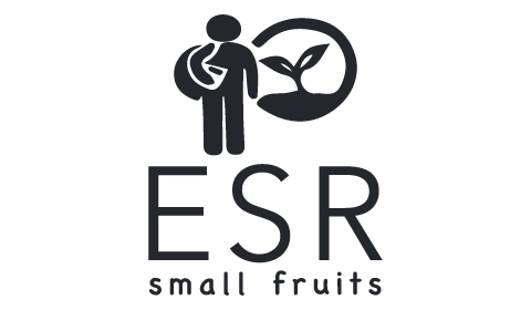 Eduardo Sousa Ribeiro