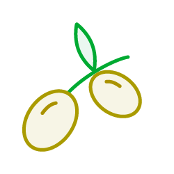 ic_fruto_olival