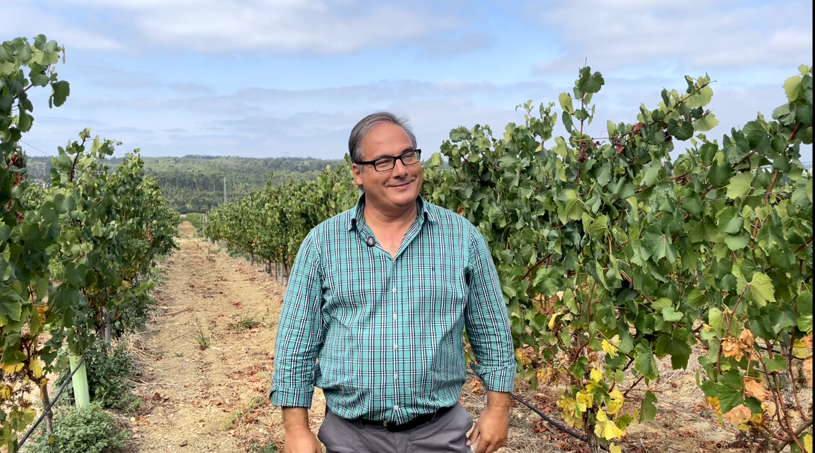 Clemente Almeida - Bacalhôa Vinhos de Portugal