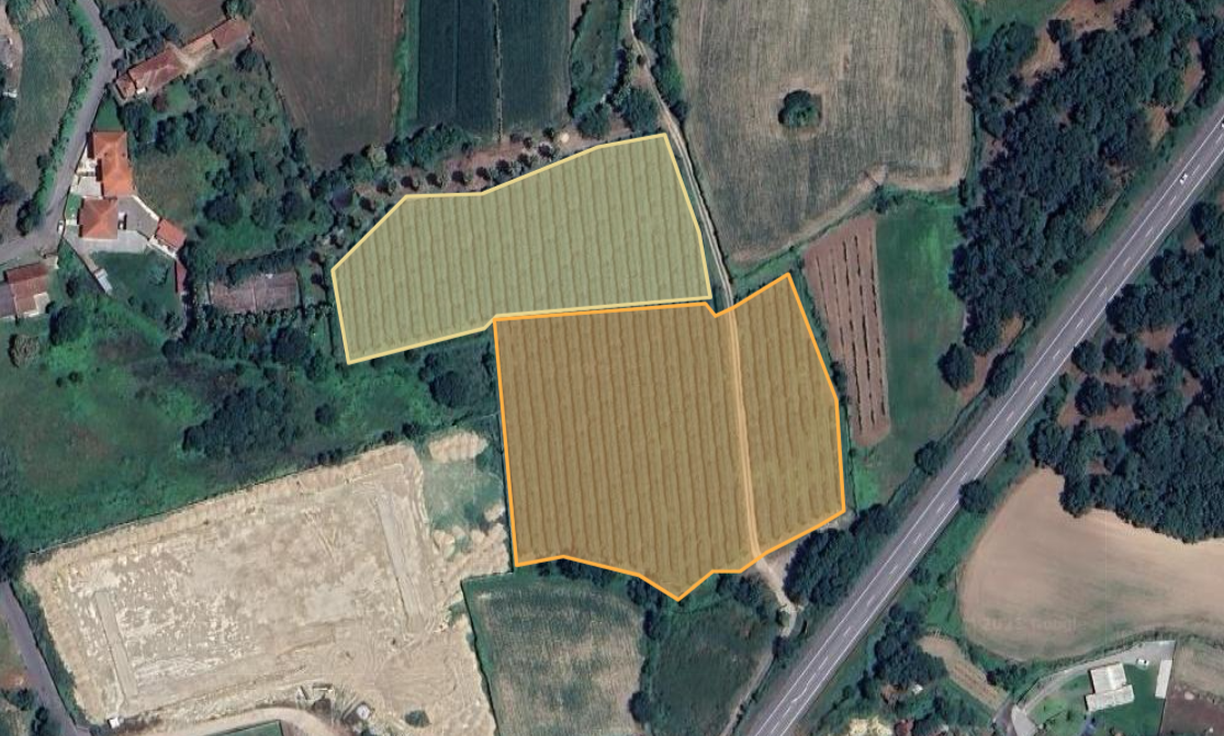 Bee Prado parcelas-1