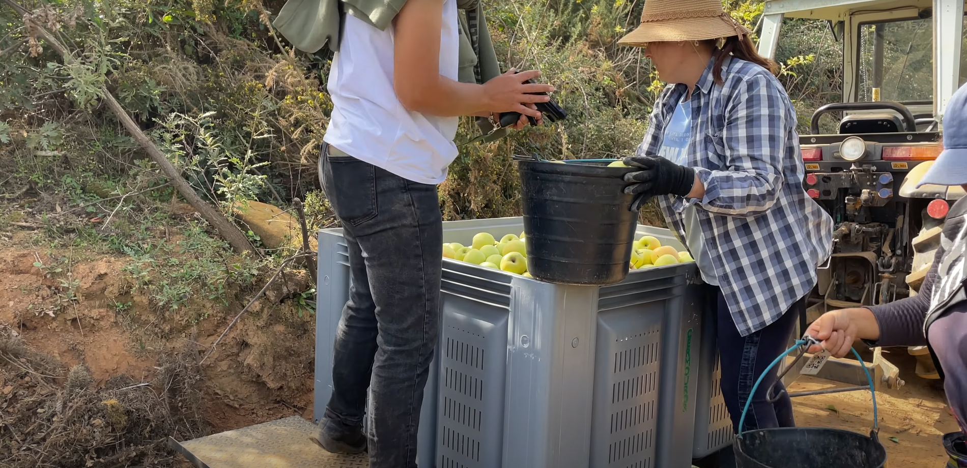 Código QR Colheita1