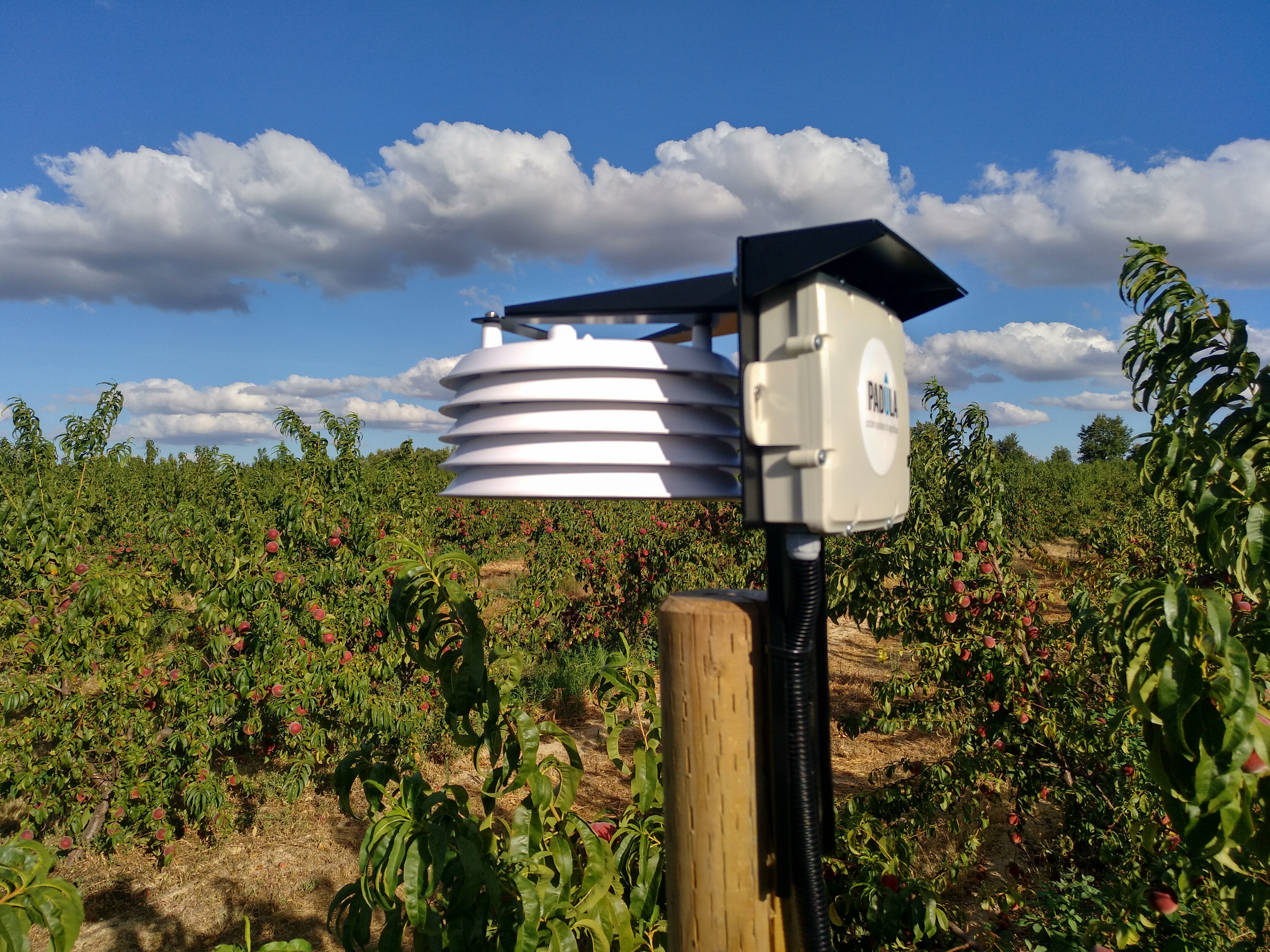 IMG_20190808_183651_151