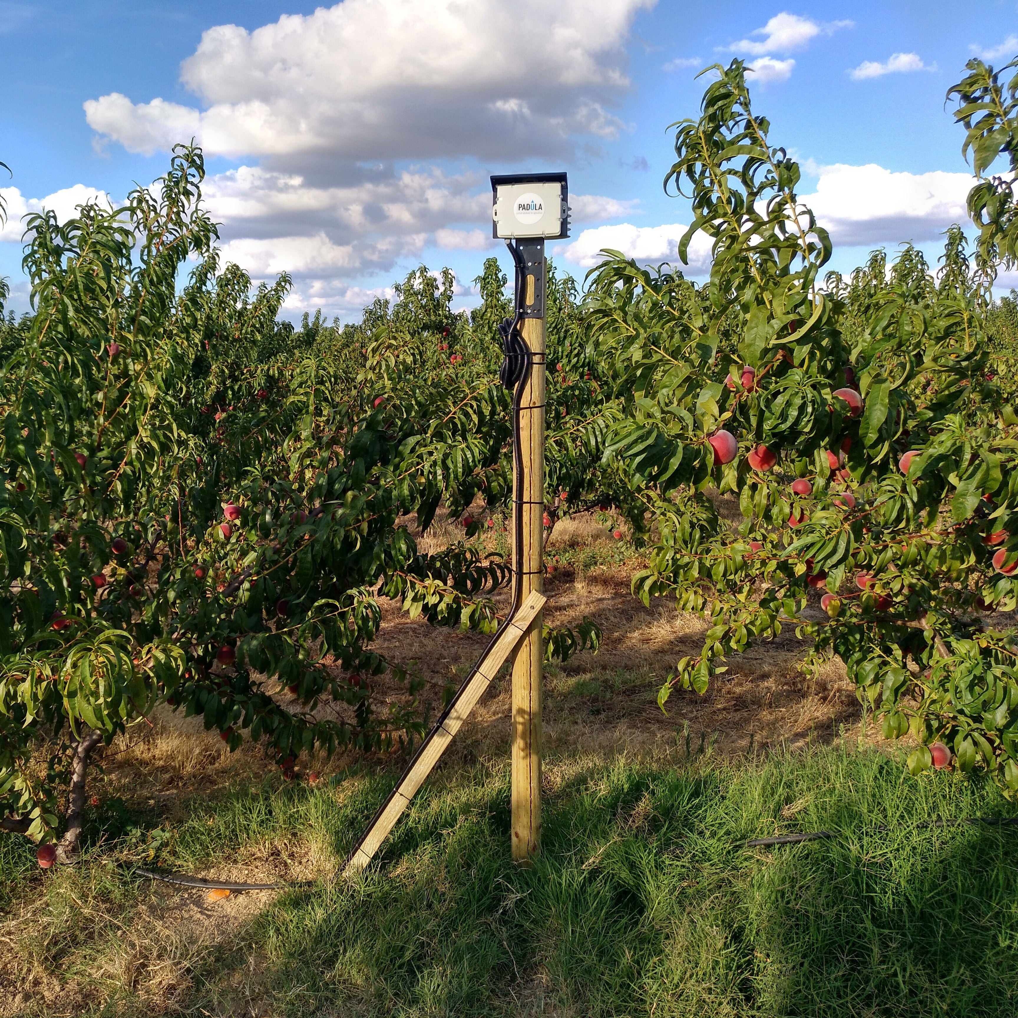 IMG_20190808_190107_864-1