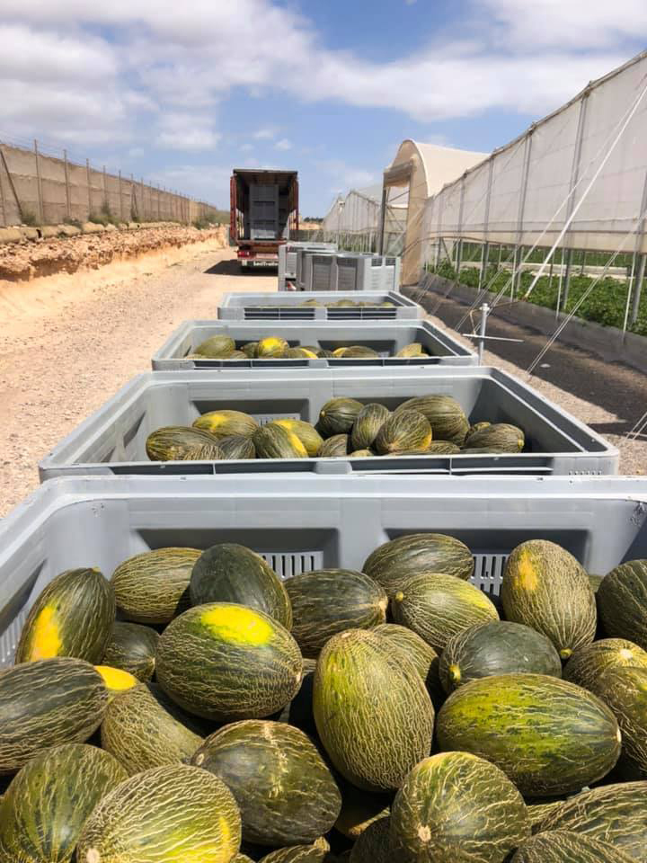 62005020_2212846712163741_3499237322090610688_n (1)