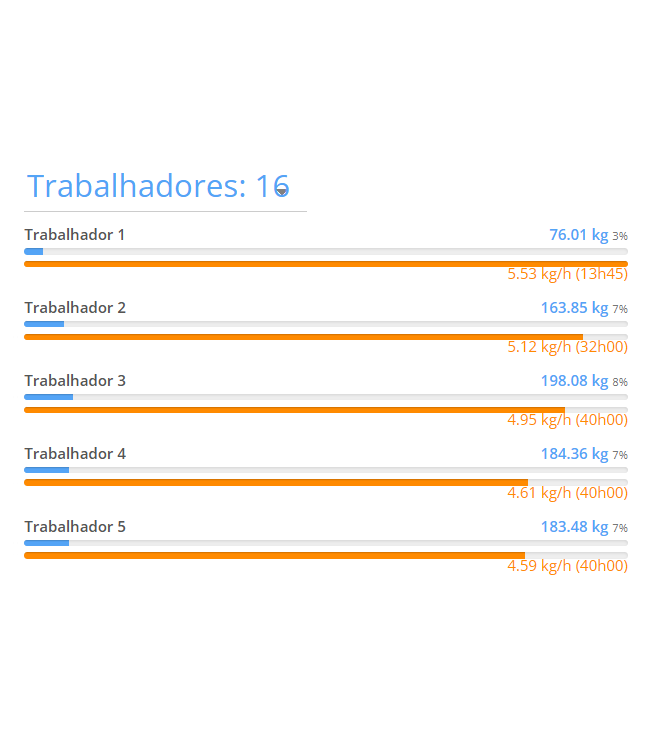 Produtividade Trabalhadores Ines Bras de Sousa-1