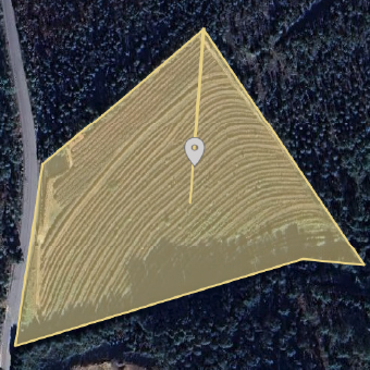 Quinta da Charca - Maio Verde