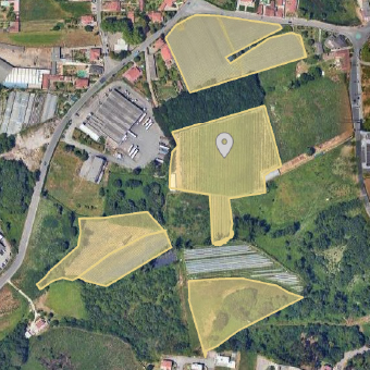 Quinta das Cavadinhas - Maio Verde