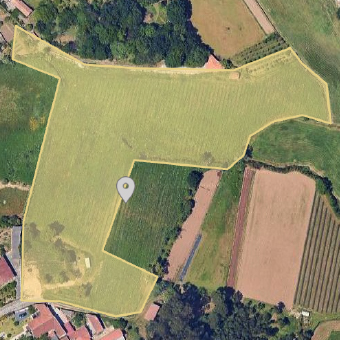 Quinta do Moinho - Maio Verde