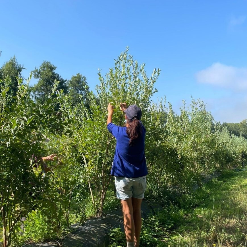 240416251_375565547481824_829987510996740776_n