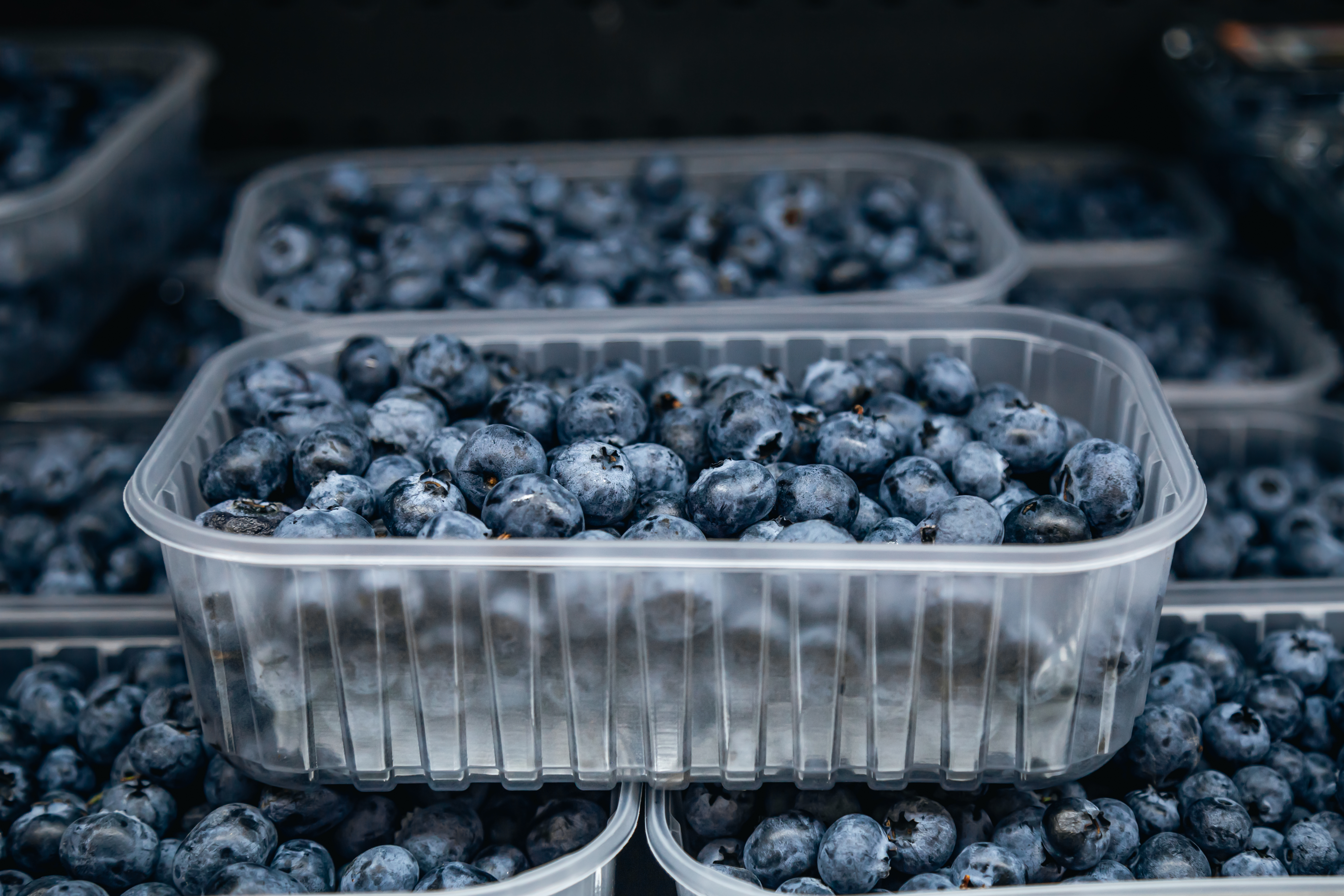 box-crate-with-many-containers-with-freshly-collected-blueberries (1)