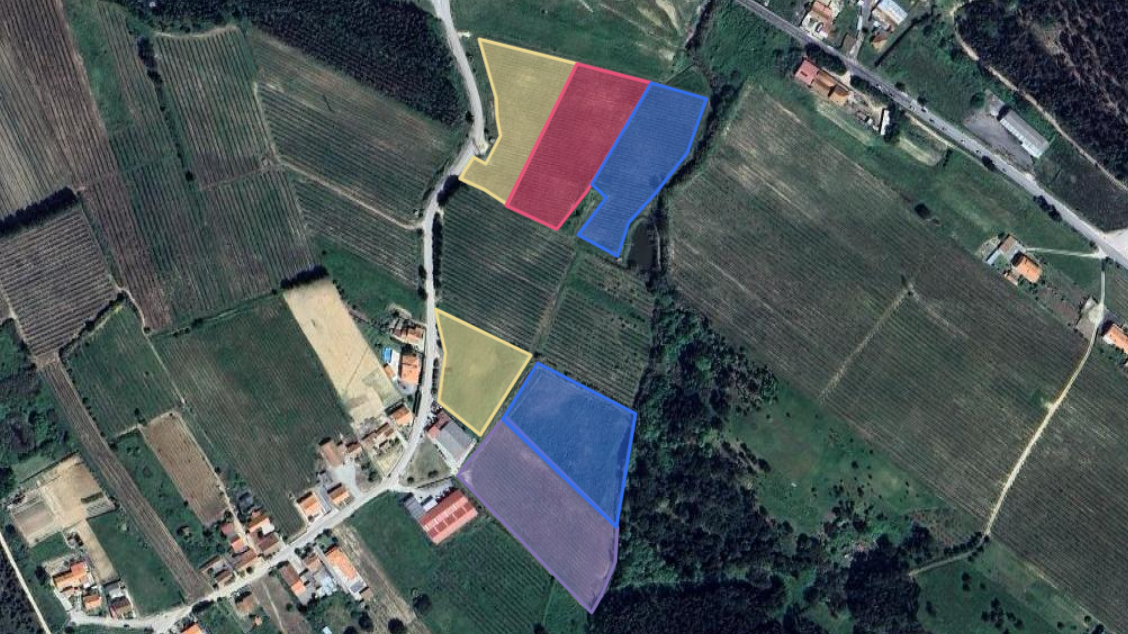 Exploração Pomar do vale