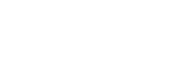 Rota Única